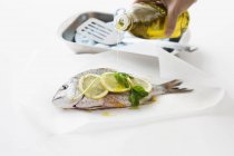 Hand drizzled olive oil on seabream — Stock Photo