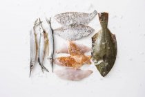 Peixe cru e filetes de peixe — Fotografia de Stock