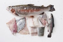 Varios peces enteros y cortados en rodajas - foto de stock