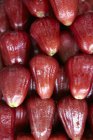 Спелые яблоки Java — стоковое фото