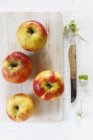 Manzanas maduras Elstar - foto de stock