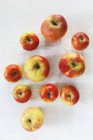 Elstar e Topaz maçãs maduras — Fotografia de Stock