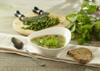 Potato soup with stinging nettles in white dish over towel with spoon — Stock Photo