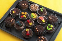 Varios cupcakes de chocolate — Stock Photo