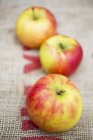 Fresh ripe  apples — Stock Photo