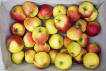 Panier de pommes fraîches — Photo de stock