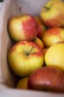 Caja de manzanas frescas - foto de stock
