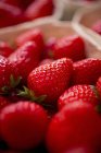 Strawberries in paper punnet — Stock Photo