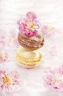 Two macaroons with blossom — Stock Photo