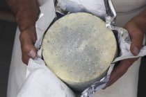 Людина холдингу сиру — стокове фото