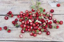 Wild strawberries with leaves — Stock Photo