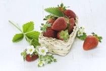 Strawberries with leaves and flowers — Stock Photo