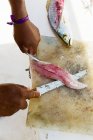 Human hands making fish fillet — Stock Photo