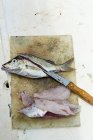 Pescado fresco de ceviche - foto de stock