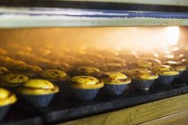 Custard pies in ramekins — Stock Photo