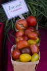 Tomates biologiques colorées — Photo de stock