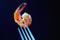 A garlic prawn on fork over black background — Stock Photo