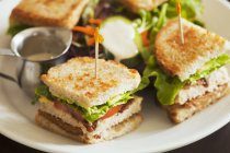 Сэндвич из веганского клуба с сейтаном, помидорами и салатом на белой тарелке — стоковое фото