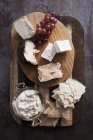 Mixed cheese platter — Stock Photo