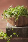 Thyme in wooden bowl — Stock Photo