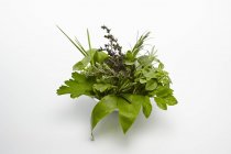 Elevated view of a bowl of fresh herbs on a white background — Stock Photo
