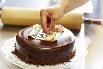 Vista cortada de pessoa que decora bolo de chocolate com maçapão — Fotografia de Stock
