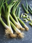 Spring onions on the table — Stock Photo