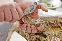 Closeup cropped view of person opening oyster — Stock Photo