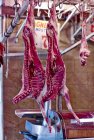 Cabras cortadas a la mitad en carnicería - foto de stock