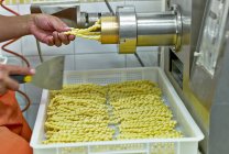 Fresh strozzapreti pasta — Stock Photo