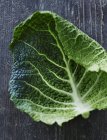 Fresh savoy cabbage leaf — Stock Photo