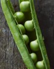 Frische grüne Erbsen in der Schote — Stockfoto