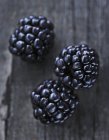 Fresh ripe Blackberries — Stock Photo