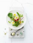 Beef tartar with eggs — Stock Photo