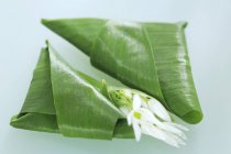 Wild garlic flowers wrapped in leaves — Stock Photo