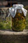 Closeup view of preserved Basil in jar on wooden log outdoors — Stock Photo
