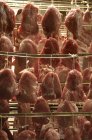 Carne di maiale cruda in negozio — Foto stock