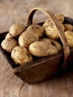 Щойно зібране картопля — стокове фото
