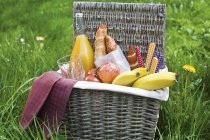 Cesta de picnic con fruta - foto de stock