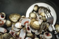 Vista close-up de conchas amêijoas com garfo — Fotografia de Stock