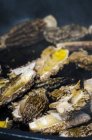 Вид крупним планом гриби Морель смажені в олії — стокове фото