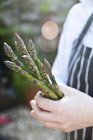 Koch hält grünen Spargel in der Hand — Stockfoto
