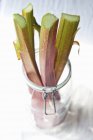 Fresh rhubarb in preserving jar — Stock Photo
