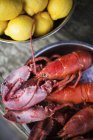 Closeup view of cooked lobsters with lemons — Stock Photo