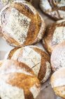 Panes de pan blanco - foto de stock