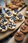 Tartelettes aux bleuets, financiers et gâteaux au chocolat — Photo de stock