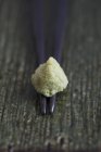 Nahaufnahme eines Klecks Wasabi auf Essstäbchen — Stockfoto