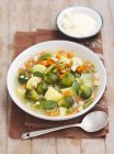 Sopa de verduras con arroz - foto de stock