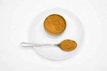Madras curry powder in tin and on spoon — Stock Photo