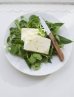 Herb salad with feta — Stock Photo